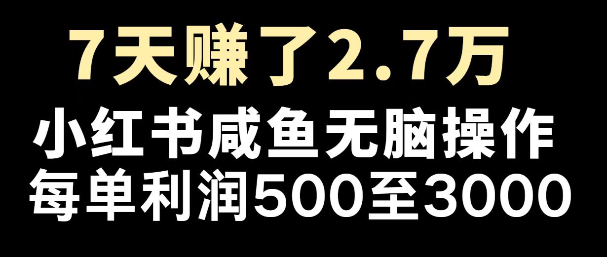 （14183期）最赚钱项目之一，2025爆火，逆风翻盘！-辉睿创业运营学习资源网