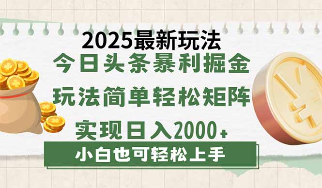 （14120期）今日头条2025最新玩法，思路简单，复制粘贴，轻松实现矩阵日入2000+-辉睿创业运营学习资源网