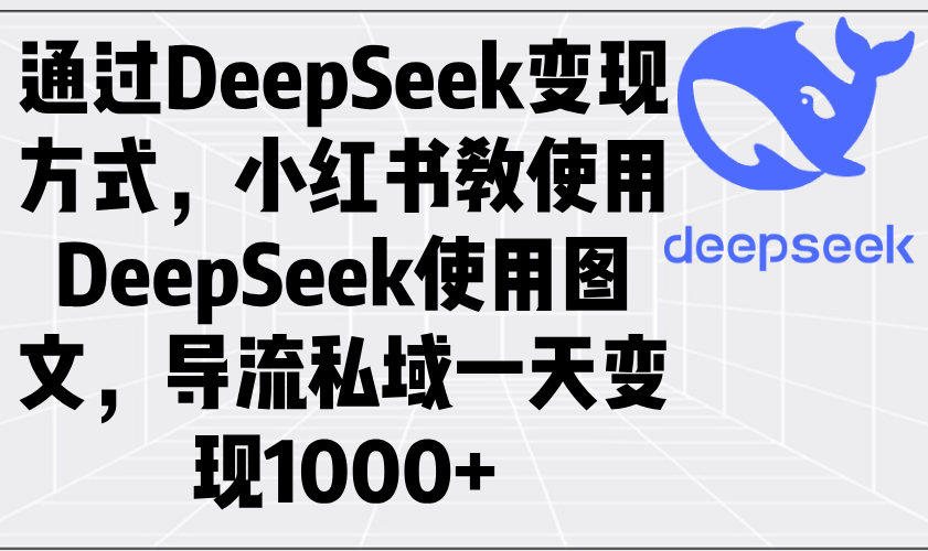 （14179期）通过DeepSeek变现方式，小红书教使用DeepSeek图文，导流私域一天变现1000+-辉睿创业运营学习资源网