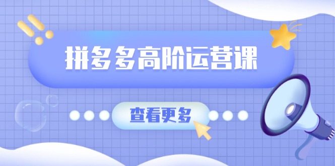 （14327期）拼多多高阶运营课：极致群爆款玩法，轻付费无尽复制，打造单品爆款之路-辉睿创业运营学习资源网